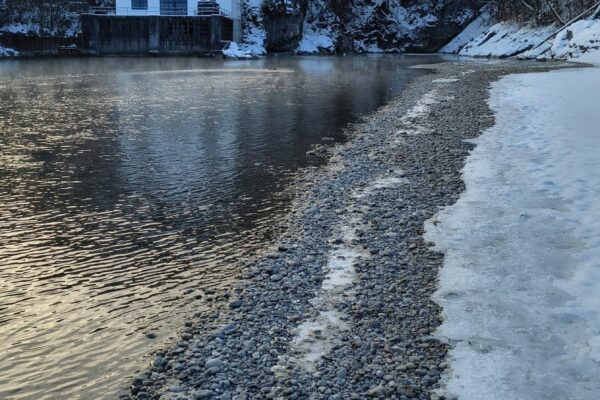 IMG_20260106_084741348_HDR_PCT