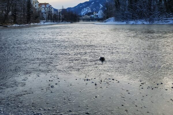 IMG_20260106_085856279_HDR_PCT