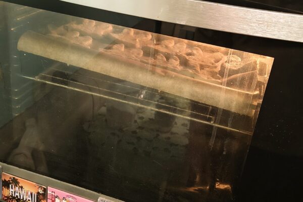 IMG_20260321_184616331_HDR_PCT