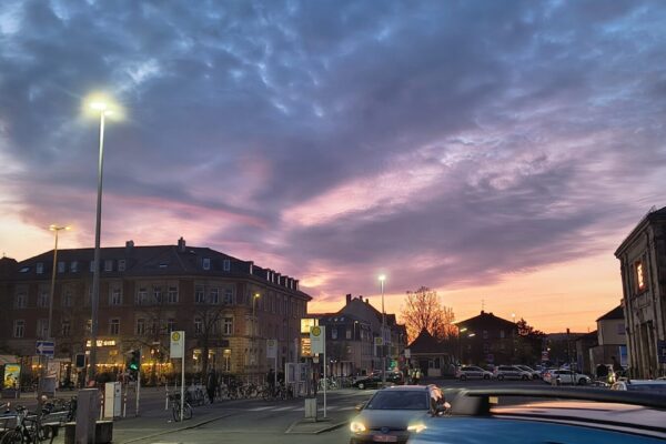 IMG_20260406_201535819_HDR_PCT