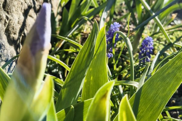 IMG_20260408_092530277_HDR_PCT IMG_20260408_092530277_HDR_PCT