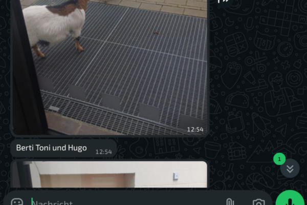 Screenshot_20260404-152847_WhatsApp